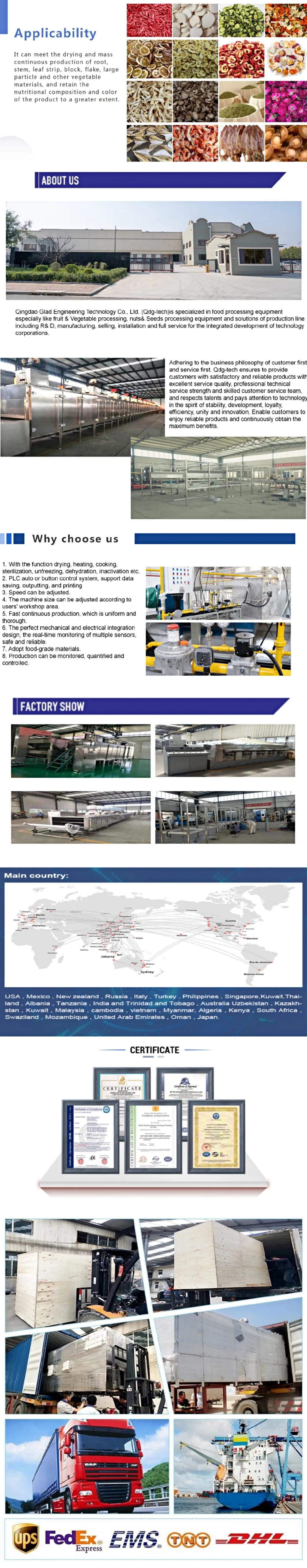 Mulberry Drying Roasting Sterilization Equipment