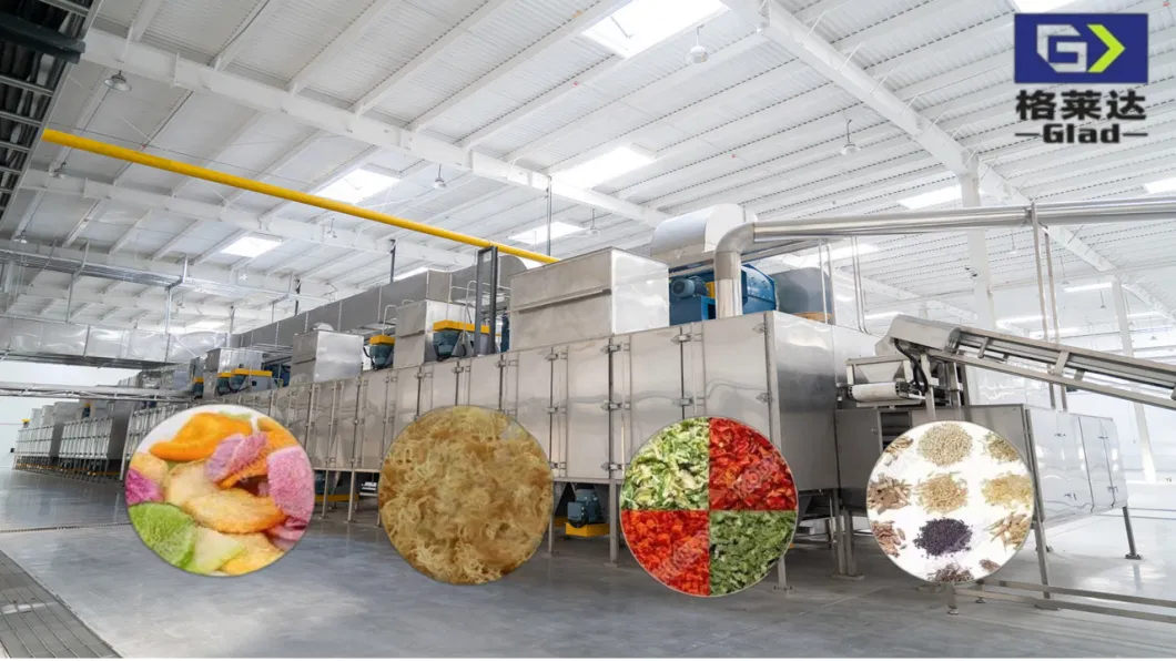 Mulberry Drying Roasting Sterilization Equipment